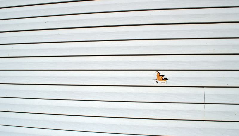 Expert Repair Technicians